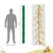 6.6 FT Lighted Easter Garland with Egg and Mixed Berry, Artificial Spring Garlands with Timer, Easter Decorations Pre-lit with 18 LED Lights, Pastel Garland for Mantle Doorway